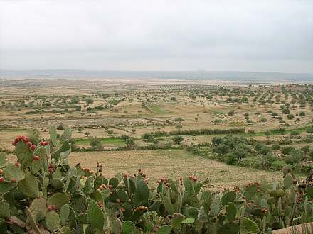 Chambi