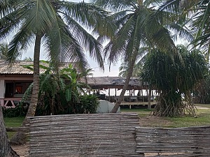 大波波 3