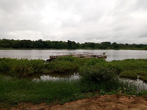 尼基 2