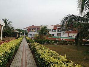 大波波 2