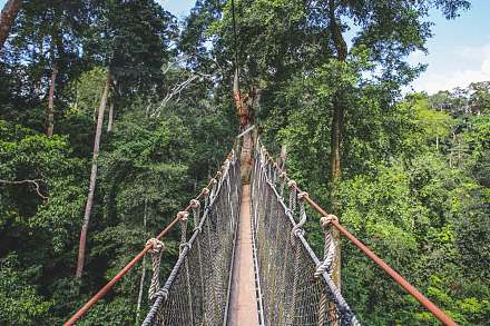 Kakum National Park