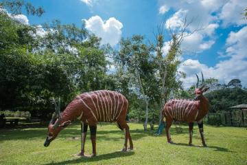 Kakum National Park photo 2