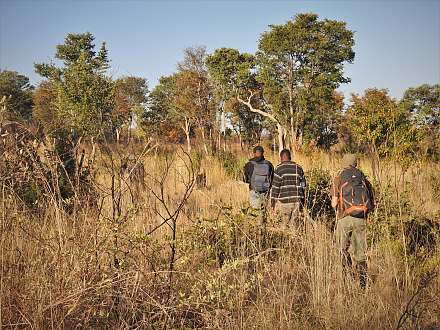 Bicuar National Park