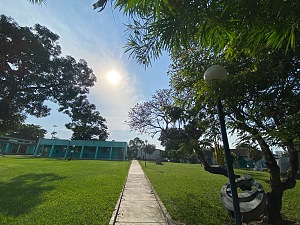 美术学院 3
