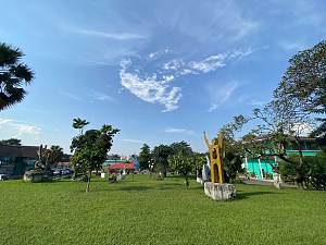 美术学院 4