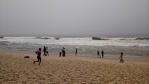 狂野海岸 4