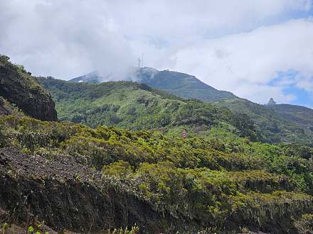 Pico Basile