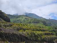 Pico Basile