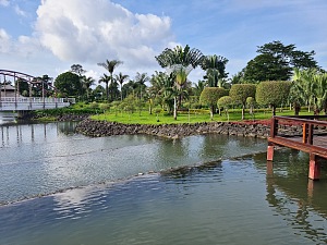 马拉博国家公园 5