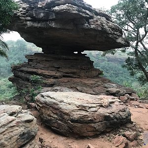 科福里杜亚 5