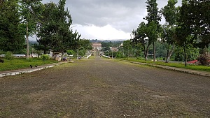 阿戈什蒂纽·内图种植园 5