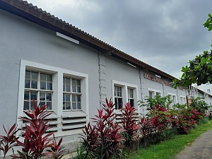 CACAU 3