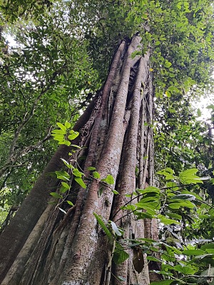 阿梅莉亚湖 3