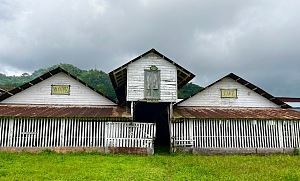蒙特咖啡博物馆 2