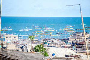 温尼巴 2
