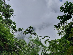 阿梅莉亚湖 5