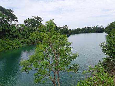 蓝湖