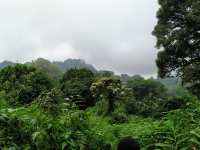 喀麦隆山