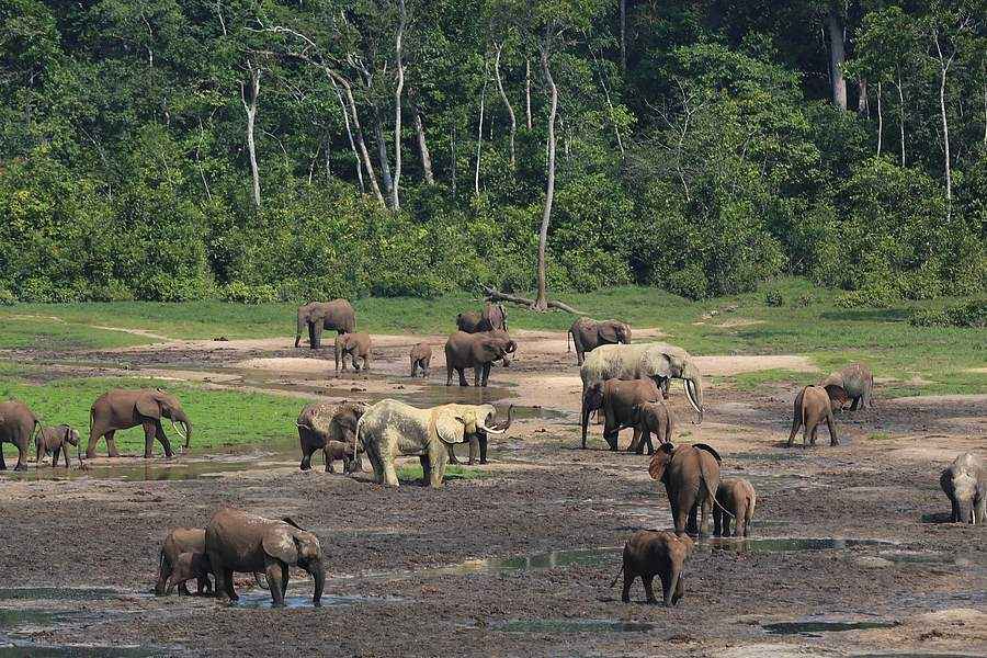 Main photo of Central African Republic