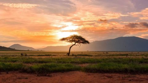 Scenic view of Central African Republic