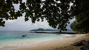 咖啡海滩 3