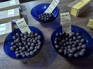 克劳迪奥·柯罗拉巧克力工厂 2