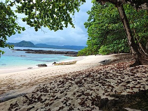 巴特里亚海滩 5