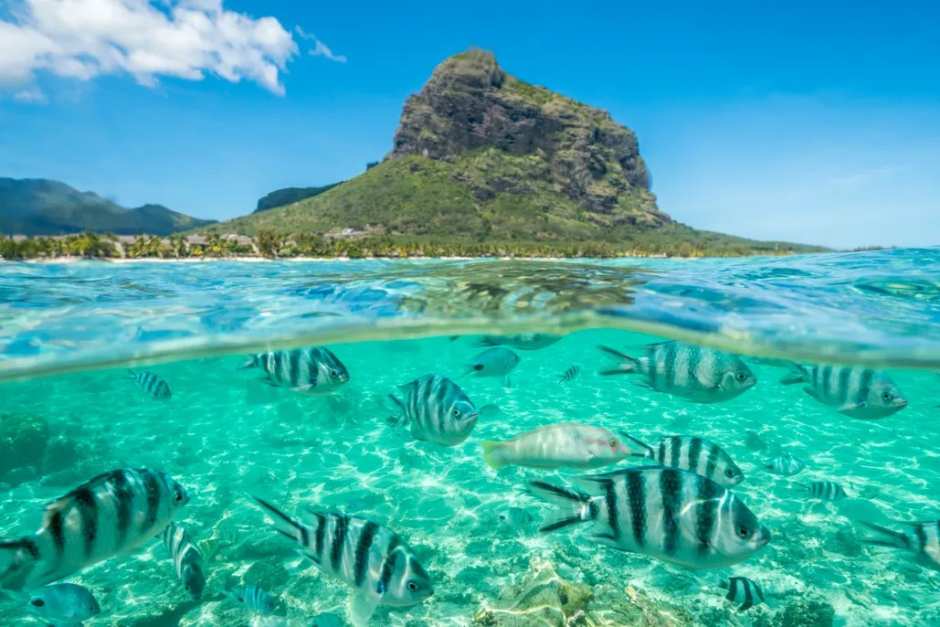Main photo of Mauritius