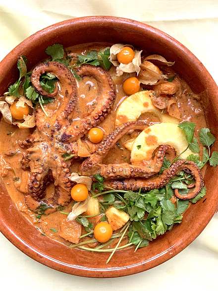 Octopus Curry