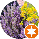 attractions-reviews-avatar