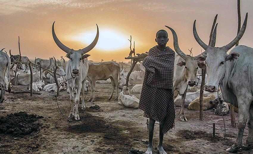 Main photo of South Sudan