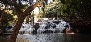 金坦波 4