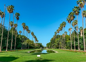 哈马植物园 2