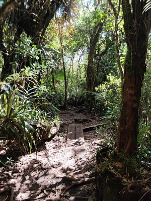 铁洞峡谷 3