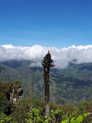 铁洞峡谷 4