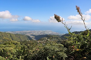 玻璃瓶岩步道 4