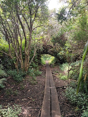 铁洞峡谷 2