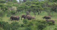 Hluhluwe–iMfolozi Park