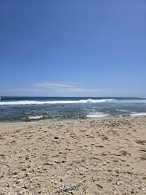 布坎卡诺海滩 3