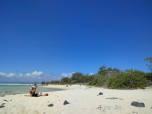 弗拉特岛 2
