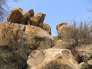 科皮斯水坝自然保护区 3