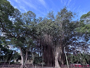 马赫什瓦纳特庙 2
