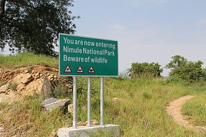 尼穆莱国家公园 3