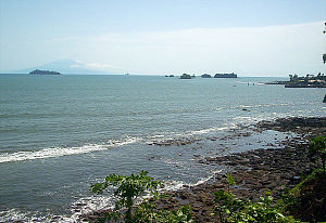 林贝 3