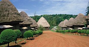 班祖恩 5