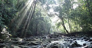 埃博野生动物保护区 5
