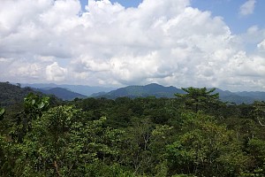 埃博野生动物保护区 3