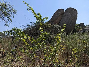 恩加维山 2