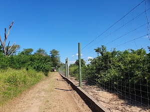 尼亚拉公园 5