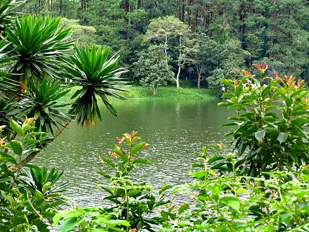 Zomba Massif